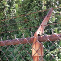 Rusty fence.jpg