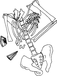 Image: Neanderthal burial