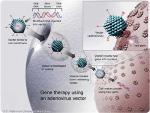 Gene-therapy-hiv.jpg