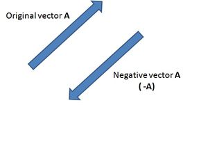 What a negative vector looks like.jpg