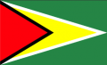 Flag of Guyana.jpg