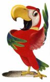 Parrot as orator.jpg