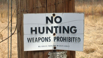 No hunting