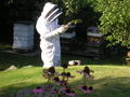 Beekeeping.jpg
