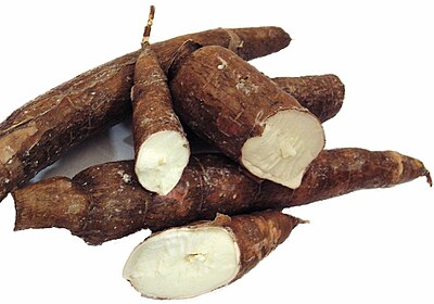 Cassava (2).jpg