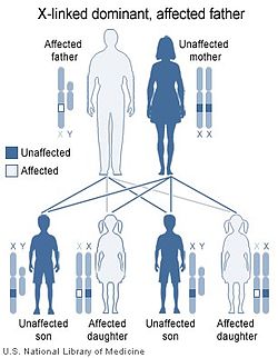 Illustration of X linked dominant inheritance