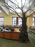 019.transforming-institutions.multnomah-county-library-with-tree.jpg