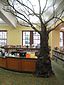 019.transforming-institutions.multnomah-county-library-with-tree.jpg