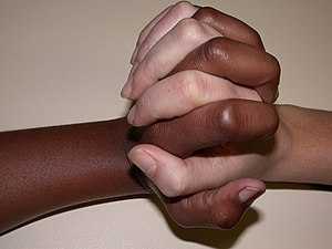 Diversity and Unity.jpg