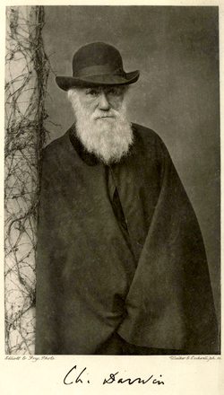 Charles Darwin photographic portrait, 1881