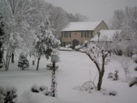 Winter in Maryland 2009.jpg