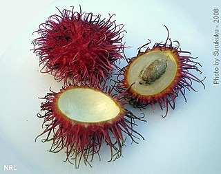 Exotic Fruits - Rambutans011.JPG