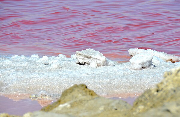 rock salt crystals