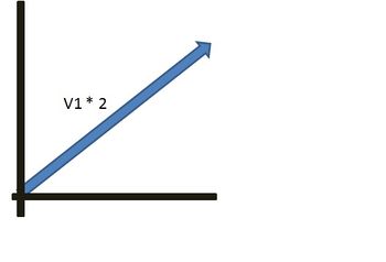 Vector multipled by two.jpg