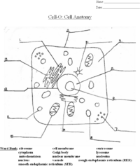 Cell-O - WikiEducator