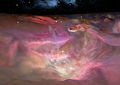 NASA's Hubble Universe in 3-D.jpg