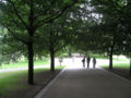 Greenwichpark2.jpg