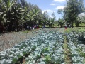 20141009 Sustainable Agriculture.jpg