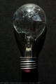An idea bulb.jpg