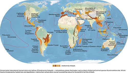 Biodiversity Hotspots Map.jpg