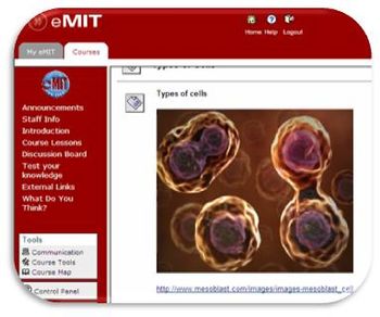 Screenshot of the cell module on eMIT
