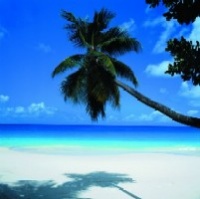 Carribbean beach.jpg