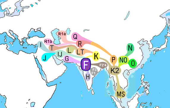 Map: distribution of Haplogroup F (Y-DNA)